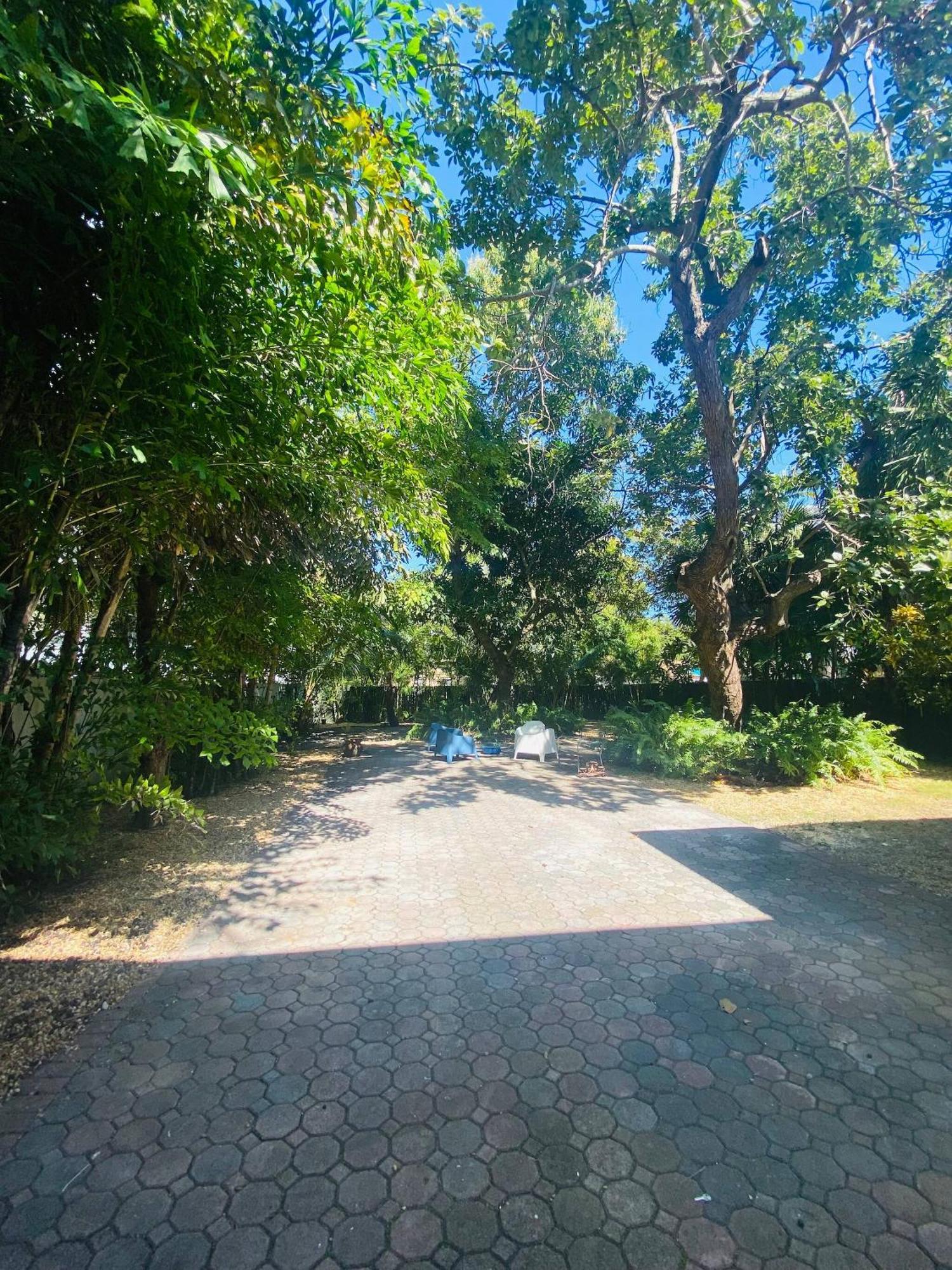 Apartment 3 Bedroom With Backyard Oasis Miami